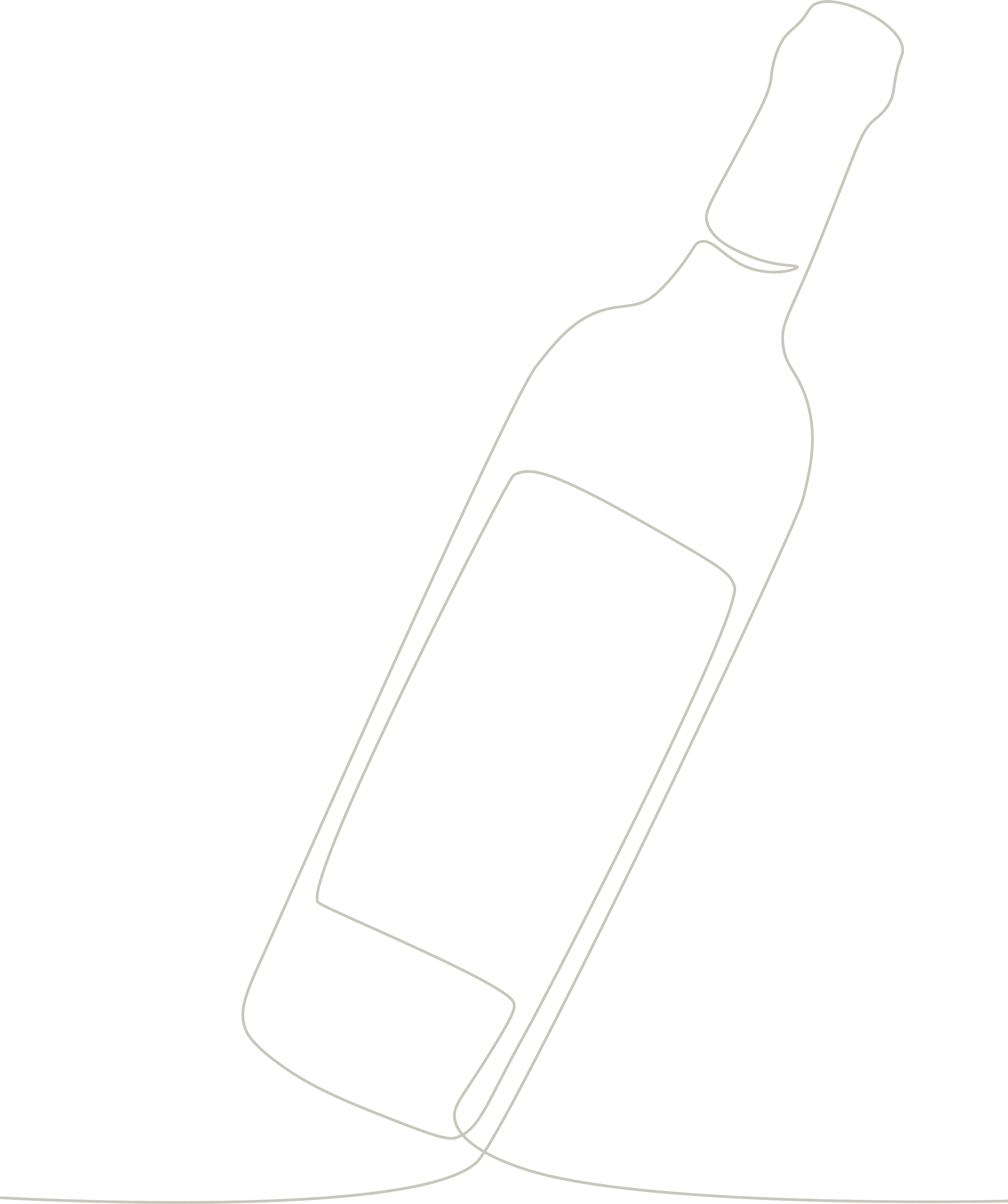 Wine bottle illustration